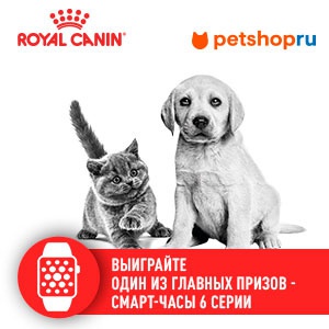 Акция  «Royal Canin» (Роял Канин) «Начни экспертный год с ROYAL CANIN и Petshop»