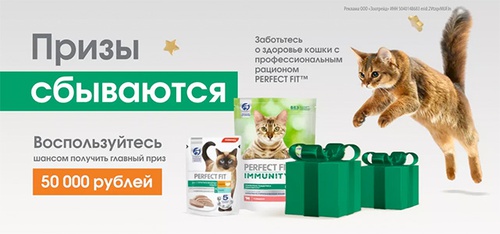 Акция  «Perfect Fit» (Перфект Фит) «Призы сбываются!»