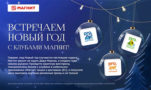 Викторина магазина «Магнит» (magnit.ru) «Новогодние чудеса»