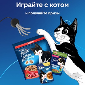Акция  «Felix» (Феликс) «Здорово с котом играть»