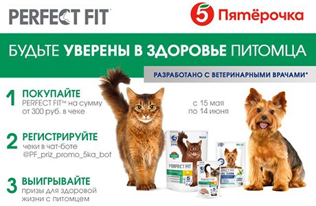 Акция  «Perfect Fit» (Перфект Фит) «Будьте уверены в здоровье питомца «Пятёрочке»