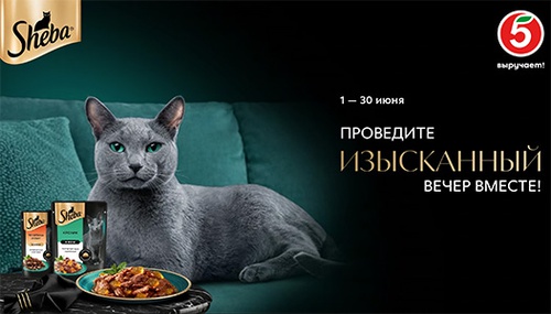 Акция «Sheba» (Шеба) «Проведите изысканный вечер вместе» Акция «Sheba» (Шеба) «Проведите изысканный вечер вместе»
