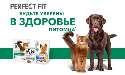 Акция  «Perfect Fit» (Перфект Фит) «Будьте уверены в здоровье питомца»